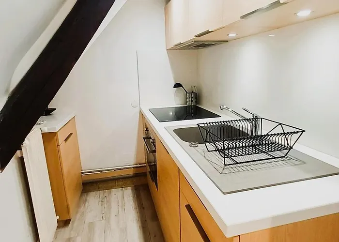 Apartamento Le Belvédère - Vieux - Wifi - Smart Tv *