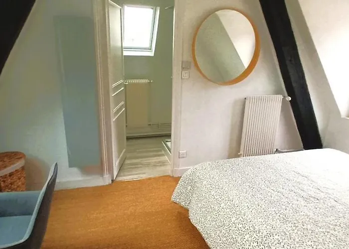 Apartamento Le Belvédère - Vieux - Wifi - Smart Tv Tours