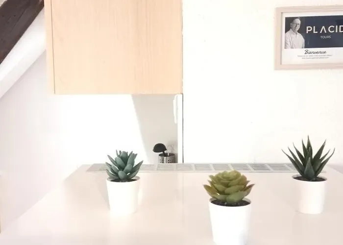 Le Belvedere - Vieux - Wifi - Smart Tv דירה *